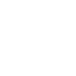 Terre Numérique